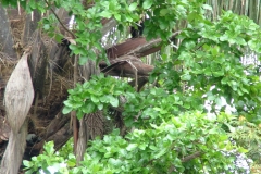 6_13_2006_10_01_46_AM_0149