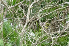 6_13_2006_10_02_41_AM_0150