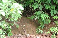 6_13_2006_10_16_25_AM_0151