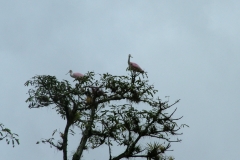 6_13_2006_10_42_21_AM_0158