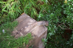 6_13_2006_6_05_09_AM_0045