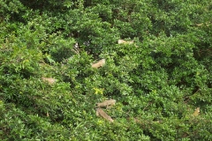 6_13_2006_6_06_35_AM_0051