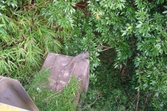 6_13_2006_6_53_48_AM_0107