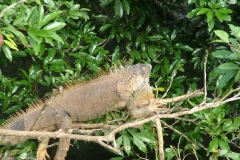 6_13_2006_6_55_05_AM_0112