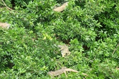 6_13_2006_6_56_18_AM_0114