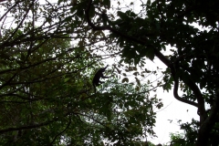 6_13_2006_7_58_14_AM_0057