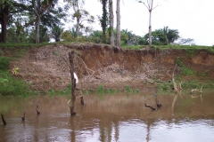 6_13_2006_8_34_52_AM_0073