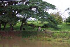 6_13_2006_8_35_06_AM_0074