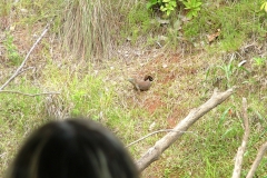 6_13_2006_8_55_14_AM_0121