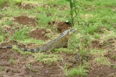 6_13_2006_8_57_33_AM_0125