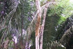 6_13_2006_9_29_17_AM_0081