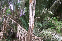 6_13_2006_9_29_24_AM_0082