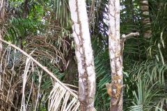 6_13_2006_9_30_09_AM_0084