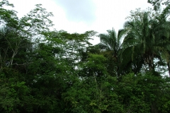 6_13_2006_9_53_28_AM_0143