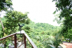 6_15_2006_11_00_53_AM_0165