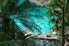 6_15_2006_11_01_37_AM_0169