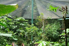 6_15_2006_11_19_52_AM_0172