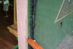 6_15_2006_11_22_30_AM_0176