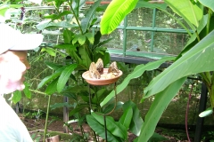 6_15_2006_11_27_44_AM_0178