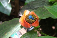 6_15_2006_11_29_19_AM_0184