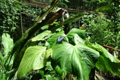 6_15_2006_11_33_04_AM_0187