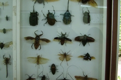 6_15_2006_11_44_34_AM_0195