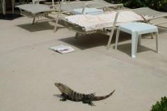 6_15_2006_11_59_31_AM_0201