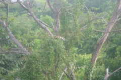 6_15_2006_3_28_40_PM_0202