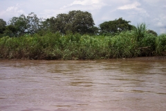 6_16_2006_10_30_27_AM_0098