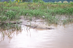 6_16_2006_10_43_45_AM_0100