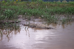 6_16_2006_10_43_51_AM_0101