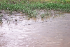 6_16_2006_10_44_17_AM_0103