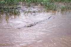 6_16_2006_10_44_26_AM_0104