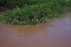 6_16_2006_10_55_08_AM_0119