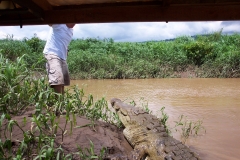 6_16_2006_10_55_41_AM_0123