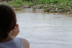 6_16_2006_11_17_46_AM_0231