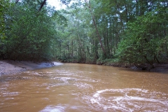 6_16_2006_11_29_24_AM_0141