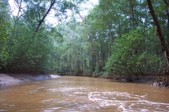 6_16_2006_11_29_36_AM_0142