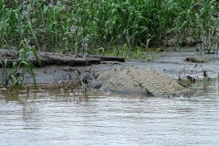 6_16_2006_11_31_30_AM_0235