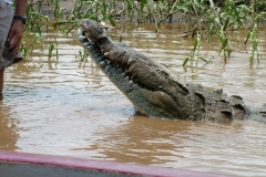 6_16_2006_11_33_12_AM_0238