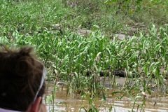 6_16_2006_11_33_15_AM_0239