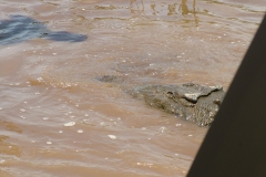 6_16_2006_11_33_59_AM_0241