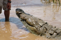 6_16_2006_11_34_10_AM_0243