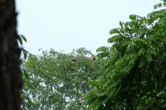 6_16_2006_1_09_21_PM_0264