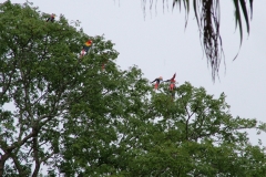 6_16_2006_1_11_54_PM_0270