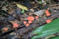 6_16_2006_8_21_18_AM_0205