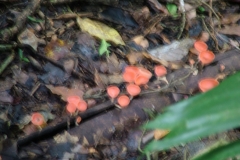 6_16_2006_8_21_23_AM_0206