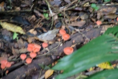 6_16_2006_8_21_33_AM_0207