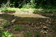 6_16_2006_8_35_56_AM_0211