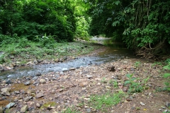 6_16_2006_8_36_03_AM_0212